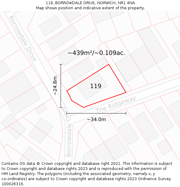 119, BORROWDALE DRIVE, NORWICH, NR1 4NA: Plot and title map