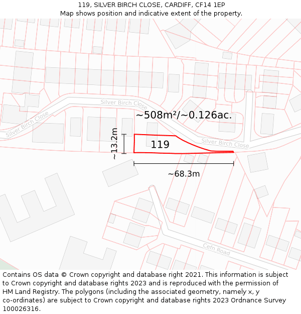 119, SILVER BIRCH CLOSE, CARDIFF, CF14 1EP: Plot and title map