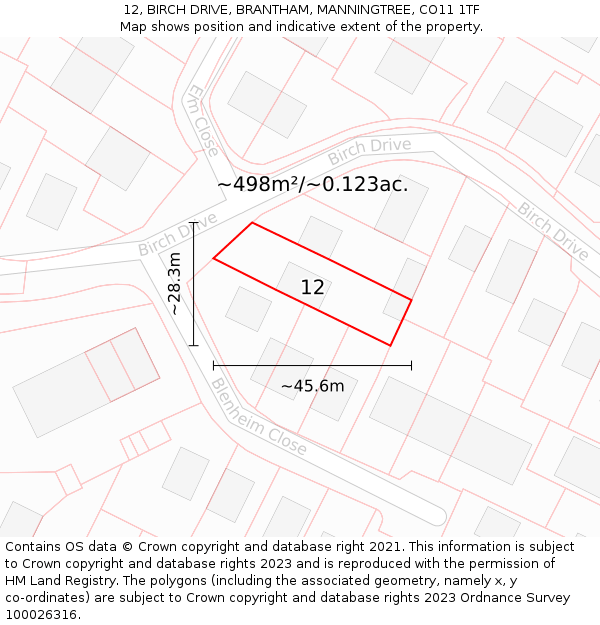 12, BIRCH DRIVE, BRANTHAM, MANNINGTREE, CO11 1TF: Plot and title map