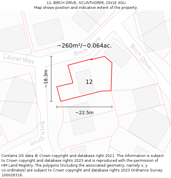 12, BIRCH DRIVE, SCUNTHORPE, DN16 3GU: Plot and title map