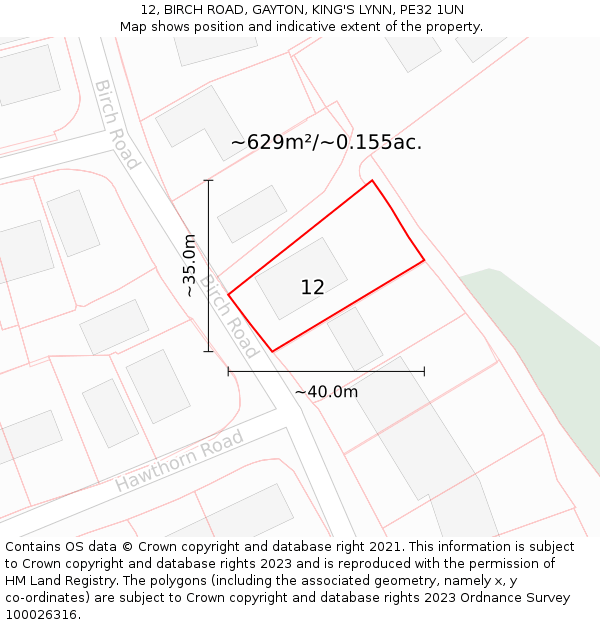 12, BIRCH ROAD, GAYTON, KING'S LYNN, PE32 1UN: Plot and title map