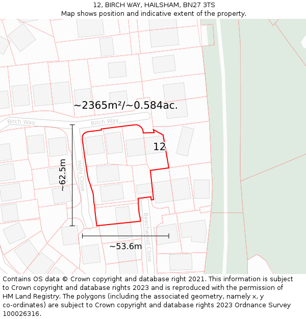 12, BIRCH WAY, HAILSHAM, BN27 3TS: Plot and title map