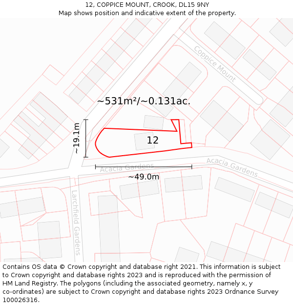 12, COPPICE MOUNT, CROOK, DL15 9NY: Plot and title map