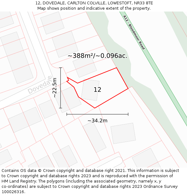 12, DOVEDALE, CARLTON COLVILLE, LOWESTOFT, NR33 8TE: Plot and title map
