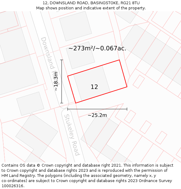 12, DOWNSLAND ROAD, BASINGSTOKE, RG21 8TU: Plot and title map