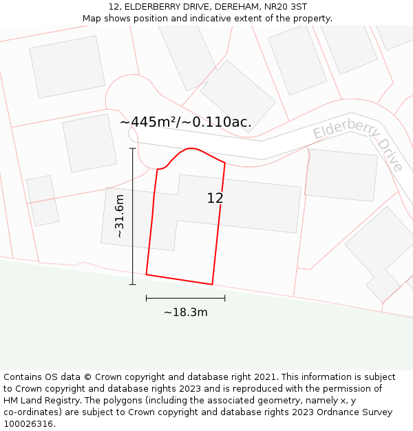 12, ELDERBERRY DRIVE, DEREHAM, NR20 3ST: Plot and title map