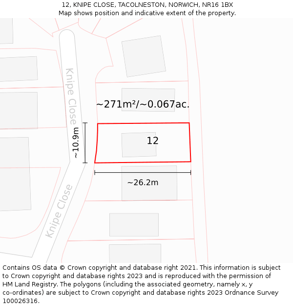 12, KNIPE CLOSE, TACOLNESTON, NORWICH, NR16 1BX: Plot and title map