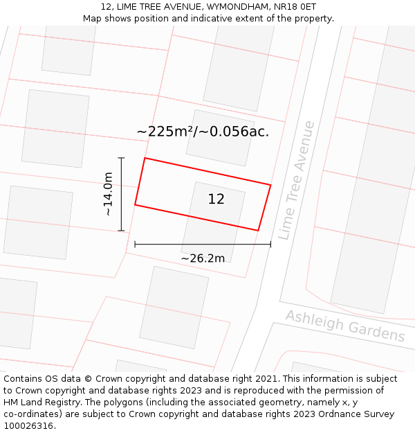 12, LIME TREE AVENUE, WYMONDHAM, NR18 0ET: Plot and title map