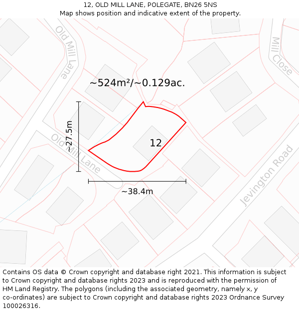 12, OLD MILL LANE, POLEGATE, BN26 5NS: Plot and title map