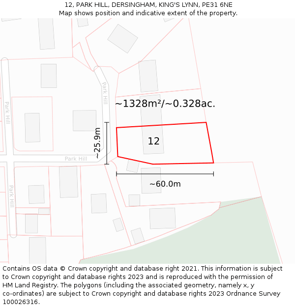 12, PARK HILL, DERSINGHAM, KING'S LYNN, PE31 6NE: Plot and title map