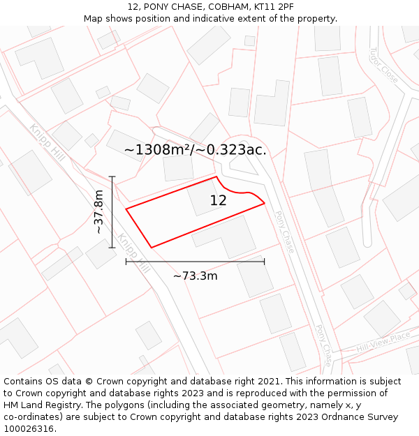 12, PONY CHASE, COBHAM, KT11 2PF: Plot and title map