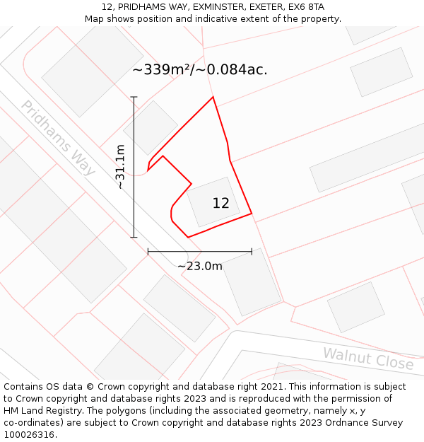 12, PRIDHAMS WAY, EXMINSTER, EXETER, EX6 8TA: Plot and title map