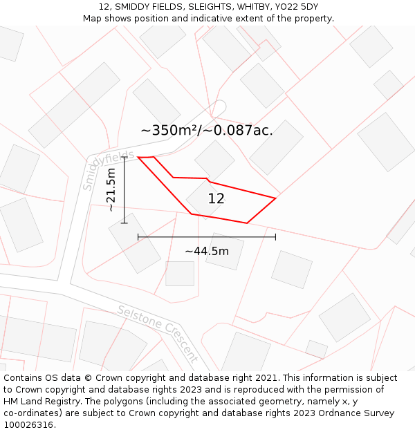 12, SMIDDY FIELDS, SLEIGHTS, WHITBY, YO22 5DY: Plot and title map