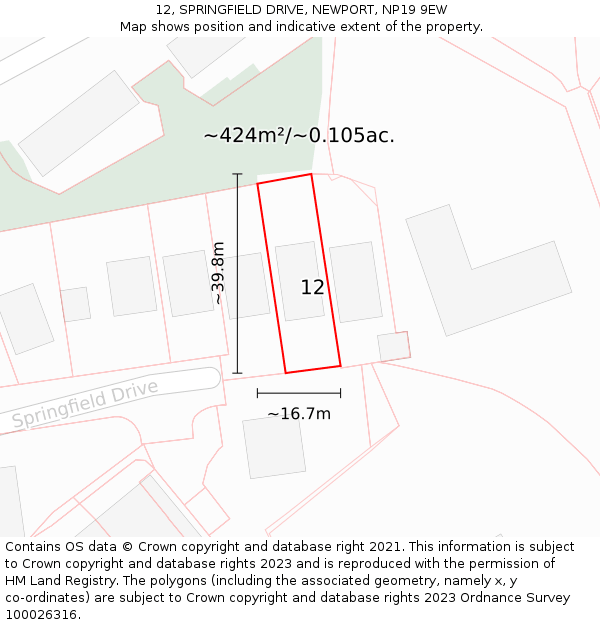 12, SPRINGFIELD DRIVE, NEWPORT, NP19 9EW: Plot and title map
