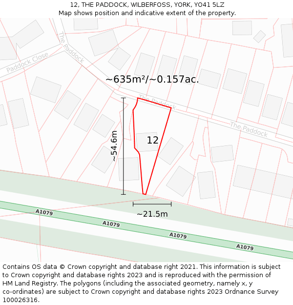 12, THE PADDOCK, WILBERFOSS, YORK, YO41 5LZ: Plot and title map