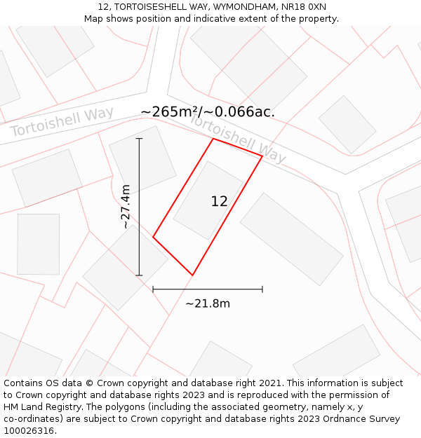 12, TORTOISESHELL WAY, WYMONDHAM, NR18 0XN: Plot and title map