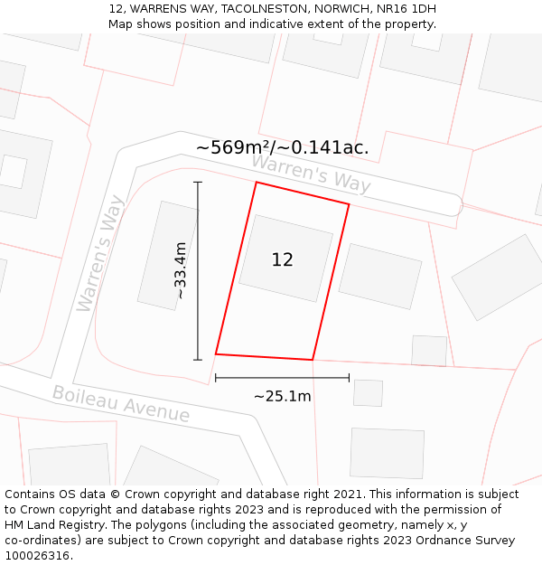12, WARRENS WAY, TACOLNESTON, NORWICH, NR16 1DH: Plot and title map