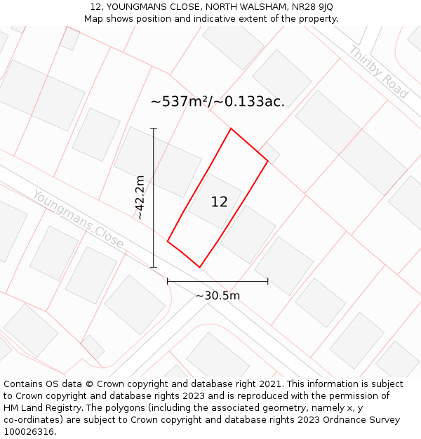 12, YOUNGMANS CLOSE, NORTH WALSHAM, NR28 9JQ: Plot and title map
