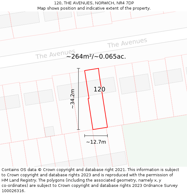 120, THE AVENUES, NORWICH, NR4 7DP: Plot and title map