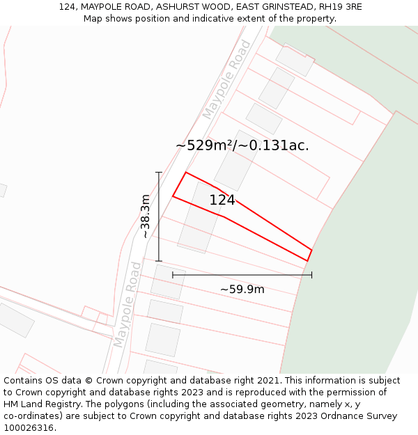 124, MAYPOLE ROAD, ASHURST WOOD, EAST GRINSTEAD, RH19 3RE: Plot and title map