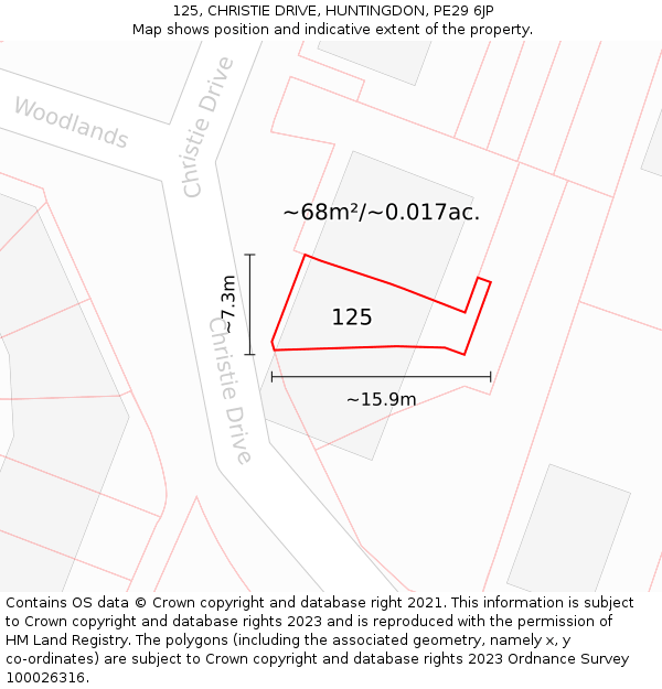 125, CHRISTIE DRIVE, HUNTINGDON, PE29 6JP: Plot and title map