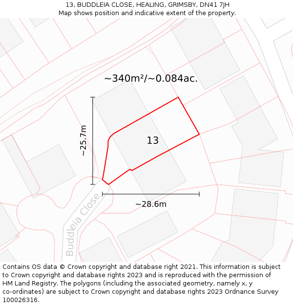 13, BUDDLEIA CLOSE, HEALING, GRIMSBY, DN41 7JH: Plot and title map