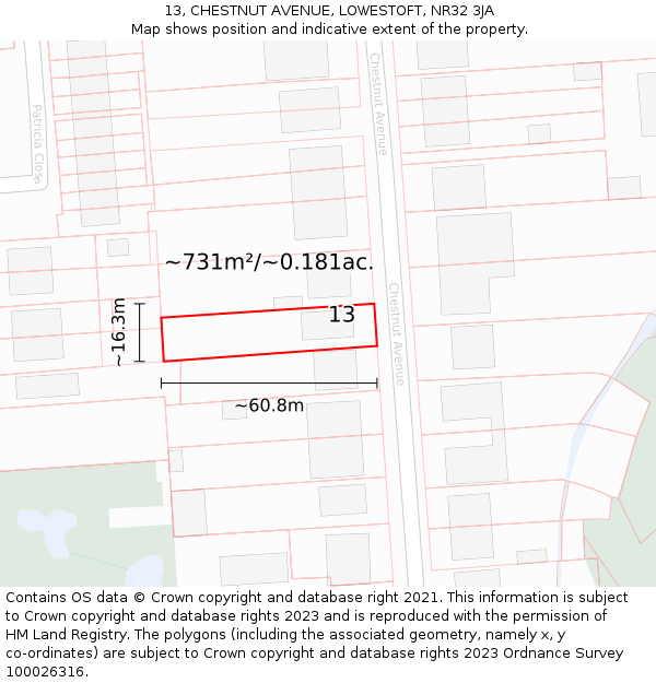 13, CHESTNUT AVENUE, LOWESTOFT, NR32 3JA: Plot and title map