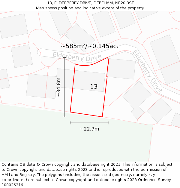 13, ELDERBERRY DRIVE, DEREHAM, NR20 3ST: Plot and title map