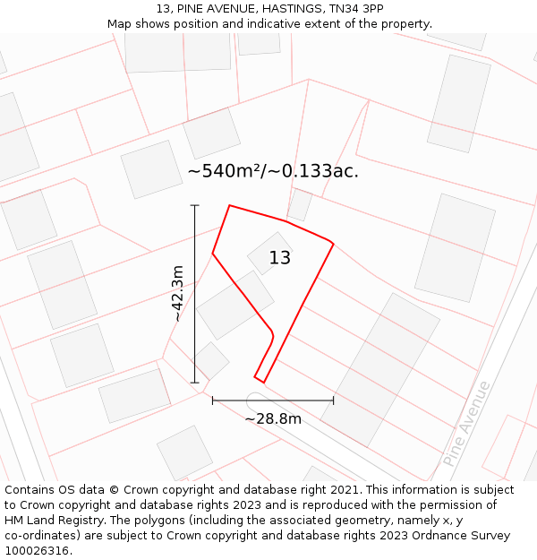 13, PINE AVENUE, HASTINGS, TN34 3PP: Plot and title map