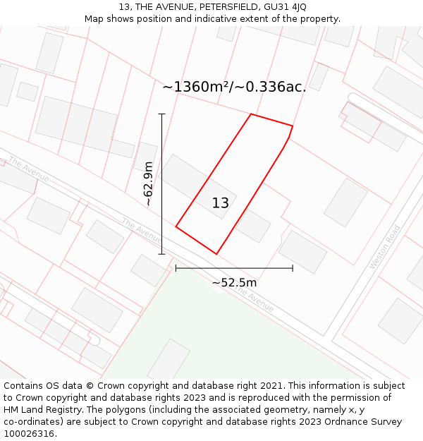 13, THE AVENUE, PETERSFIELD, GU31 4JQ: Plot and title map