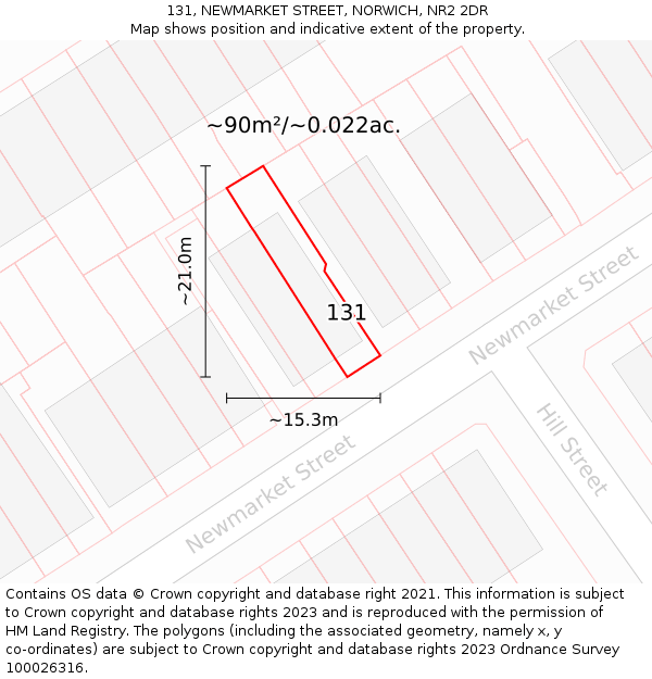 131, NEWMARKET STREET, NORWICH, NR2 2DR: Plot and title map