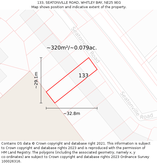 133, SEATONVILLE ROAD, WHITLEY BAY, NE25 9EG: Plot and title map