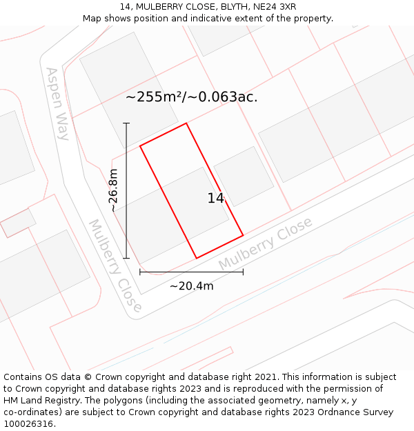 14, MULBERRY CLOSE, BLYTH, NE24 3XR: Plot and title map