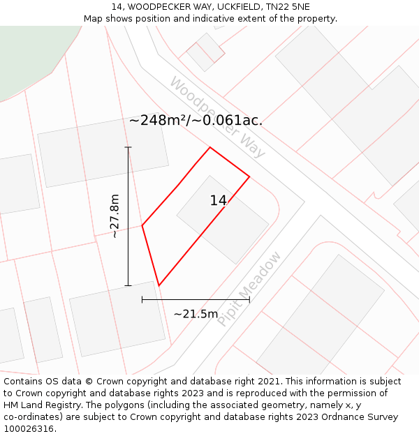 14, WOODPECKER WAY, UCKFIELD, TN22 5NE: Plot and title map