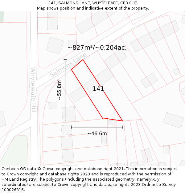 141, SALMONS LANE, WHYTELEAFE, CR3 0HB: Plot and title map