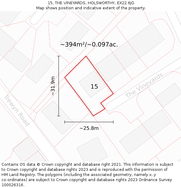 15, THE VINEYARDS, HOLSWORTHY, EX22 6JG: Plot and title map
