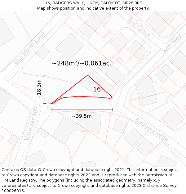 16, BADGERS WALK, UNDY, CALDICOT, NP26 3PS: Plot and title map