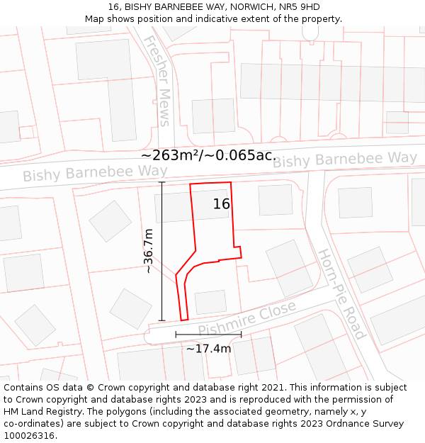 16, BISHY BARNEBEE WAY, NORWICH, NR5 9HD: Plot and title map