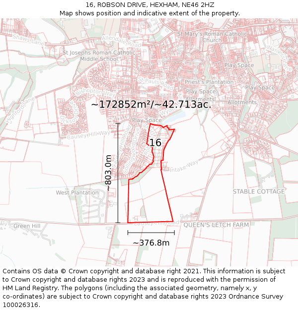 16, ROBSON DRIVE, HEXHAM, NE46 2HZ: Plot and title map