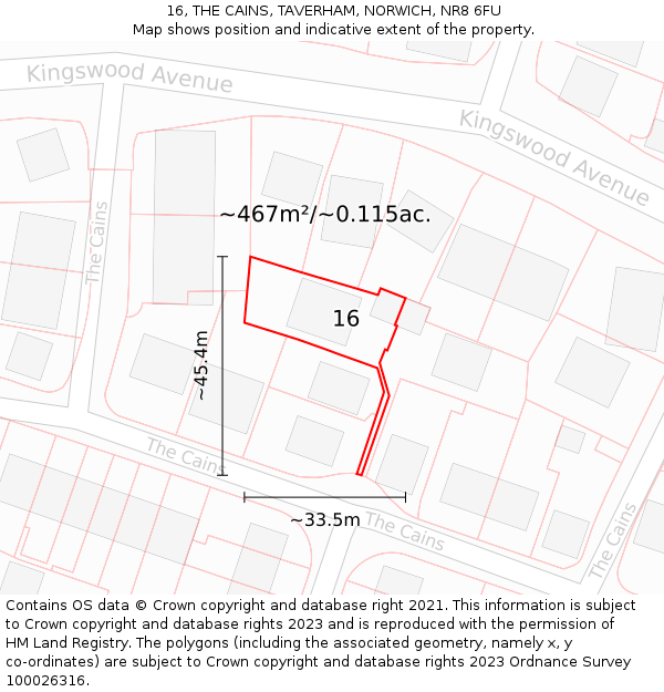 16, THE CAINS, TAVERHAM, NORWICH, NR8 6FU: Plot and title map