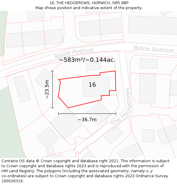 16, THE HEDGEROWS, NORWICH, NR5 9BP: Plot and title map