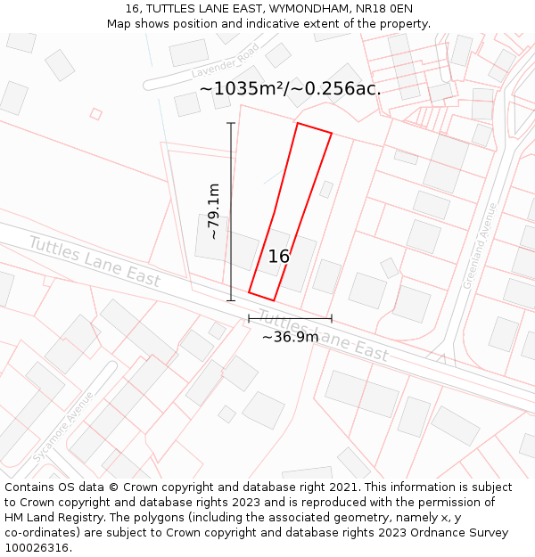 16, TUTTLES LANE EAST, WYMONDHAM, NR18 0EN: Plot and title map