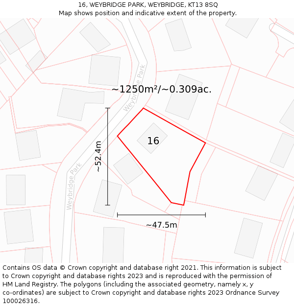16, WEYBRIDGE PARK, WEYBRIDGE, KT13 8SQ: Plot and title map