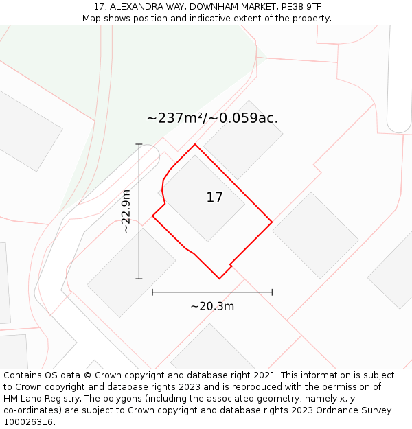 17, ALEXANDRA WAY, DOWNHAM MARKET, PE38 9TF: Plot and title map