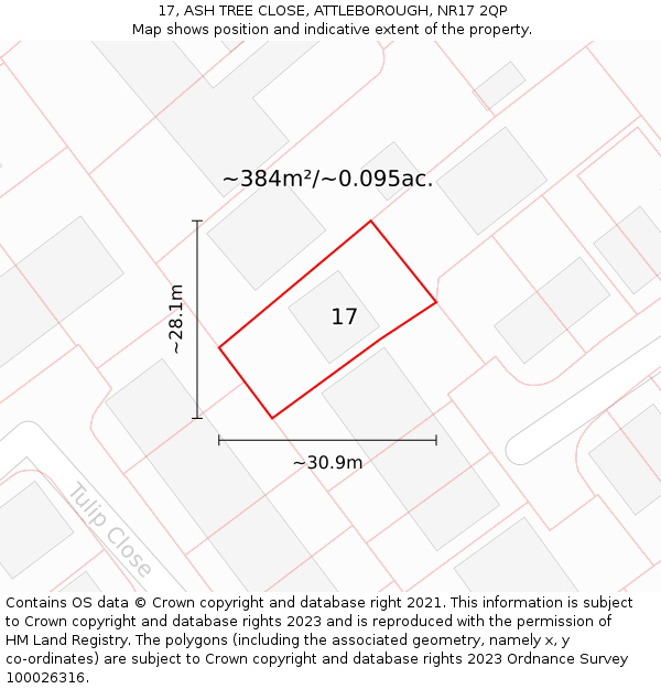 17, ASH TREE CLOSE, ATTLEBOROUGH, NR17 2QP: Plot and title map