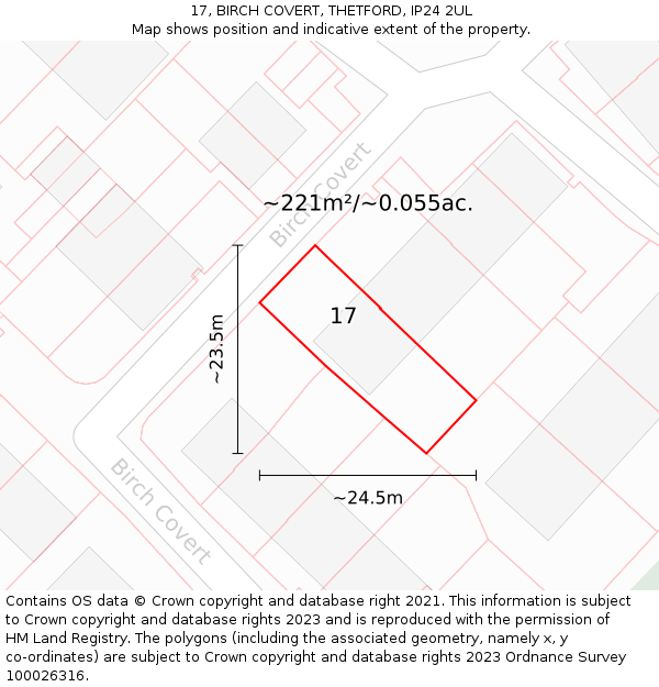 17, BIRCH COVERT, THETFORD, IP24 2UL: Plot and title map