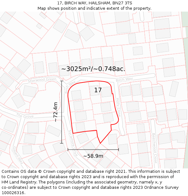 17, BIRCH WAY, HAILSHAM, BN27 3TS: Plot and title map