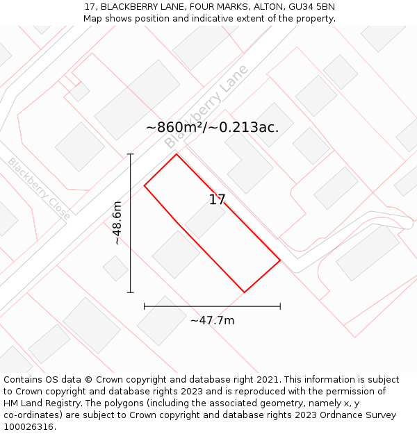 17, BLACKBERRY LANE, FOUR MARKS, ALTON, GU34 5BN: Plot and title map