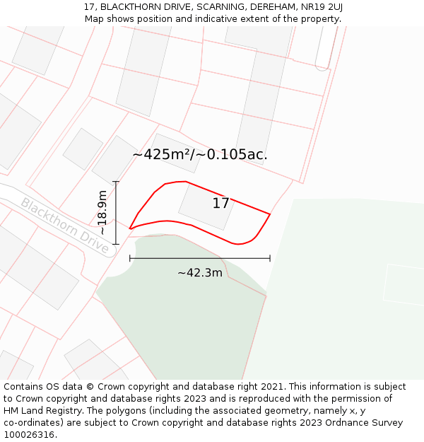 17, BLACKTHORN DRIVE, SCARNING, DEREHAM, NR19 2UJ: Plot and title map