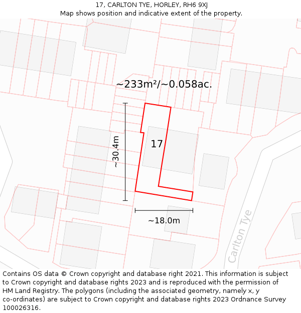 17, CARLTON TYE, HORLEY, RH6 9XJ: Plot and title map